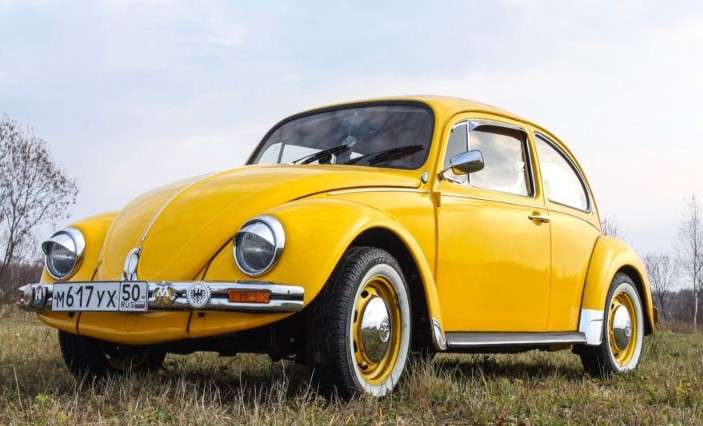    Volkswagen Beetle Kaefer  